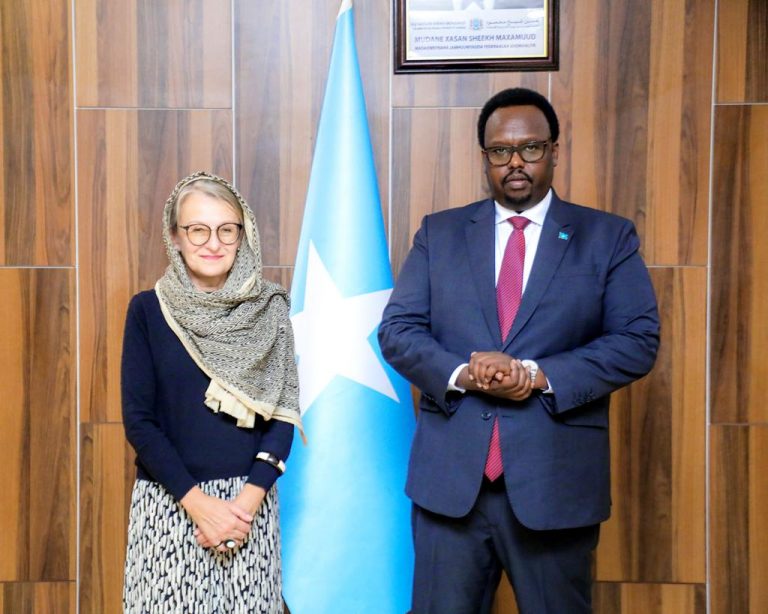 Ra’iisul Wasaare Ku xigeenka XFS Saalax Axmed Jaamac oo qaabilay Safiirka Midowga Yurub u qaabilsan Soomaaliya Ms Tina Intelmann