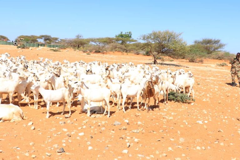 Taliyaha CXD oo Deeq Xoola ah u diray Shacabka D.Maxaas