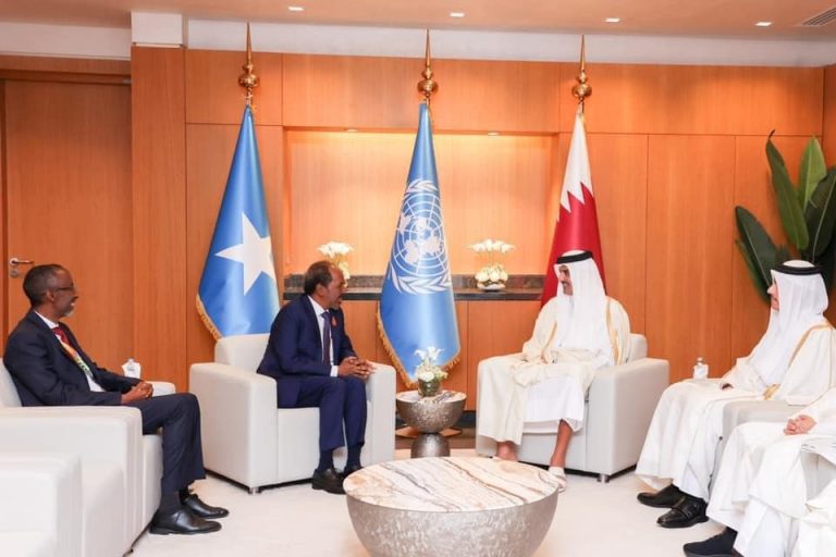 Madaxweyne Xasan Sheekh oo la kulmay Amiirka dalka Qatar Sheekh Tamiim Binu Xamad
