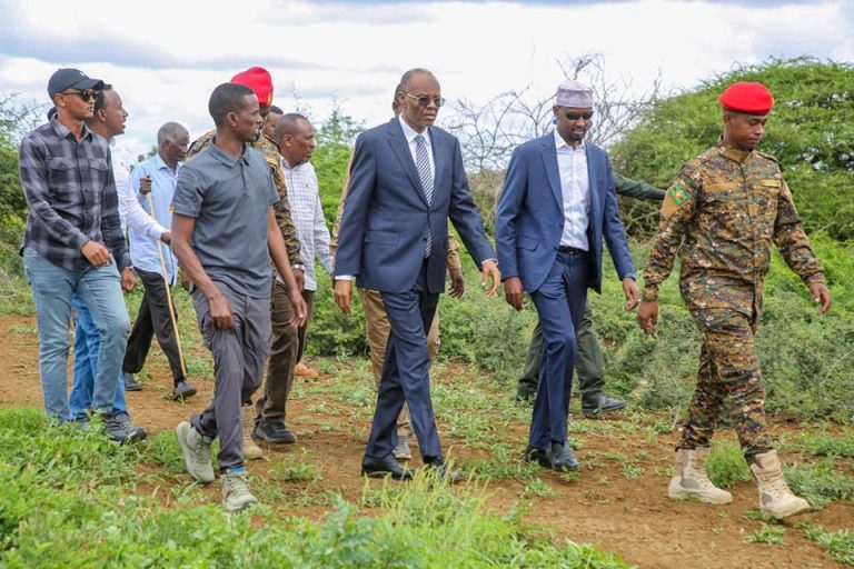 Madaxweynaha Koonfur Galbeed oo kormeerey Dhulalka Dowlada ee Duleedka Baydhabo.