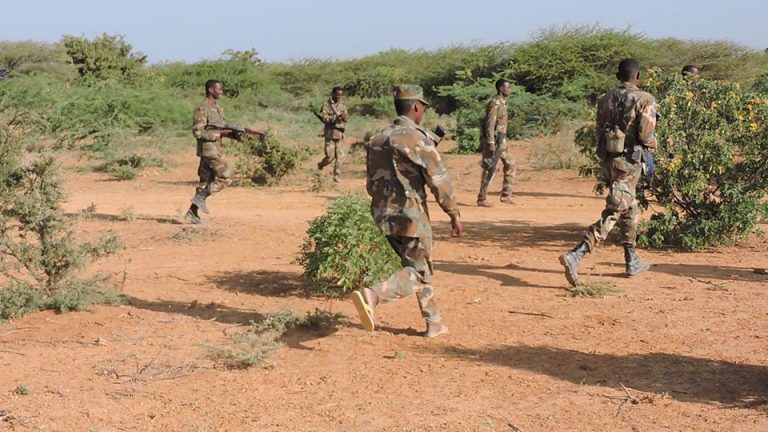 Ciidanka Xoogga dalka iyo xooggaga deegaanka oo howlgal ku dilay 60 ka tirsan Maleyshiyaadka Khawaarijta.