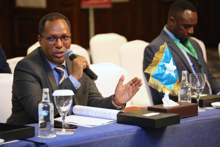 Wasiirka Maaliyadda XFS oo magaalada Sharma Shiikh uga qeybgalay shir looga hadlayo horumarinta dhaqaalaha Bariga Afrika