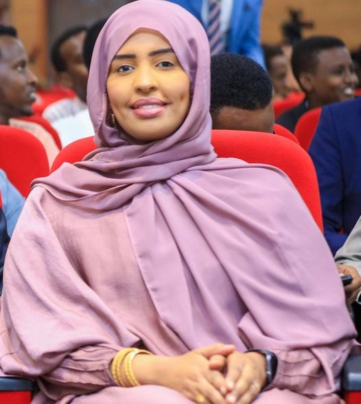 Ergayga Madaxweynaha ee Qulqulka hubka oo taageertay Ansinta Hindisaha Hubka.