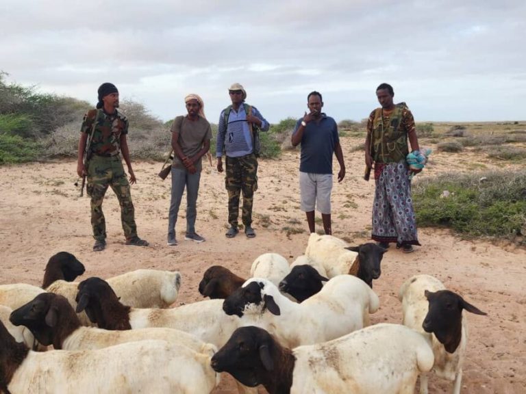 Ciidamada dowladda ee ku sugan Galcad oo lagu wareejiyay xoolo lagu dhiiragalinayo