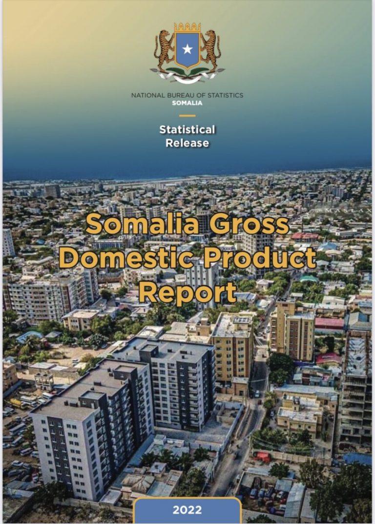 Hay’adda tirakoobka Qaranka oo soo saartay warbixin ku aaddan wax soo saarka gudaha ee 2022-kii