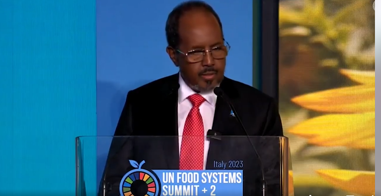 Madaxweyne Xasan Sheekh oo Khudbad ka jeediyay kulanka iskaashiga Talyaaniga iyo dalalka Geeska Afrika