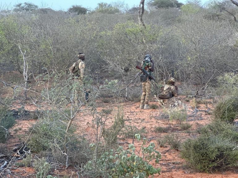 Howlgal culus oo lagu sifeynayo Khawaarijta ayaa ka socda Bariga gobolka Galgaduud.
