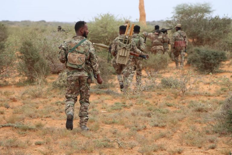 Ciidanka Kumaandooska Xoogga Dalka Soomaliyeed ayaa howlgal ka sameeyay degaano dhowr ah oo gambaad u ahaa Khawaarijta