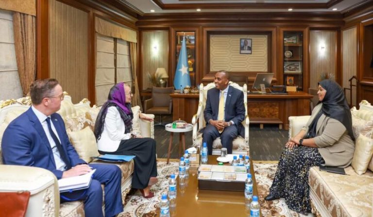 Ra’iisal wasaare Xamse oo qaabilay danjiraha Midowga Yurub