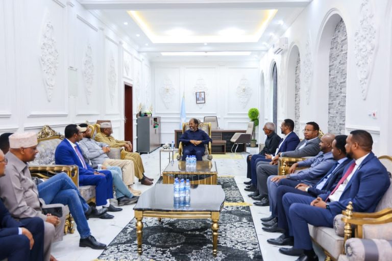 guddoomiyaha golah shacabka iyo wafdi oo hogaaminaayo oo kulan la qaatey madaxweynaha jfs