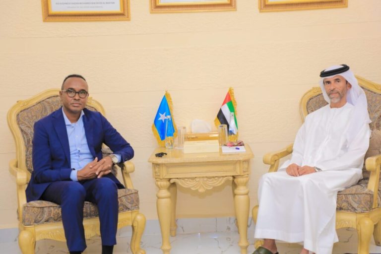 Guddoomiyaha Hay’adda Maareynta Musiibooyinka  oo kulan la yeeshay Safiirka Imaaraadka Carabta