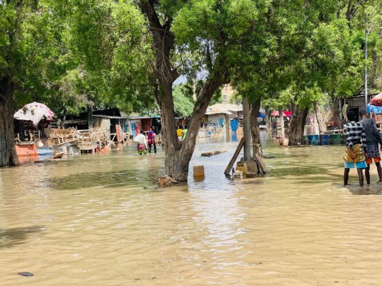 Qoysas ku go’doonsan xaafadaha qaar ee magaalada Baladweyne oo xaalad adag wajahaya
