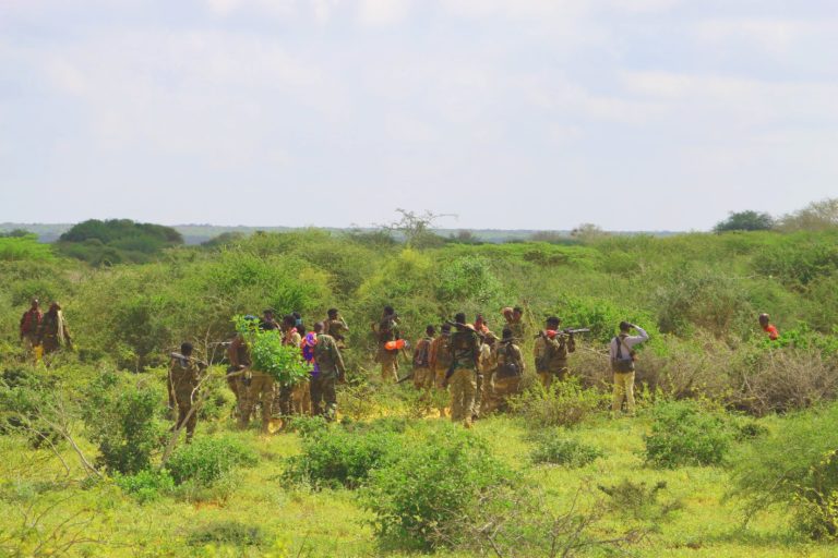 Ciidanka xoogga dalka oo Khawaarijta ka sifeeyey deegaano ka tirsan Shabeellada dhexe iyo Galgaduud.