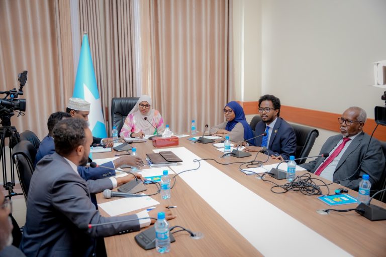 Guddiga Arrimaha Dibadda ee Aqalka Sare oo kulan la qaatay wasiirka Qorsheynta