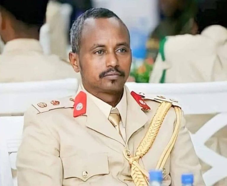 General Dayax : Reer Qararow wax allaale wixii aad uga baahan tihiin Ciidanka Xoogga diyaara idiinla ahay ee raadsada qaniimada khawaarijta