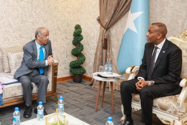 Ra’iisul wasaare Xamse oo la kulmay Ku-xigeenka Xoghayaha Guud ee Qaramada Midoobay ee dhanka taageerada howlgallada.