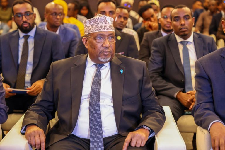 Kusimaha Madaxweynaha oo daahfuray Barnaamijka shaqo hufan “SAWIRRO”