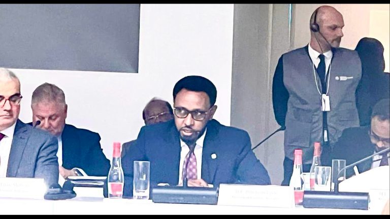 Wasiirka Maaliyadda Soomaaliya oo magaalada Dubia uga qeybgalaya Shirka Sanadlaha ah Hey’addaha Maaliyadda Carabta