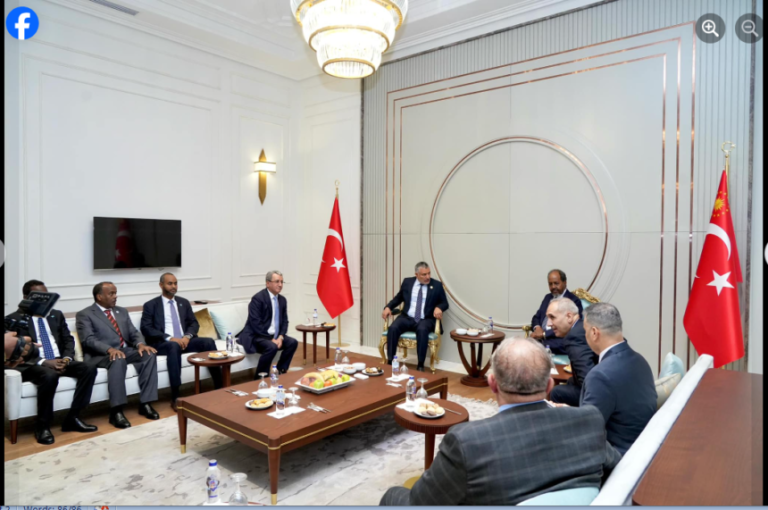 Madaxweynaha Soomaaliya iyo wafdi uu hoggaaminaayo oo lagu soo dhoweeyay dalkaTurkiga