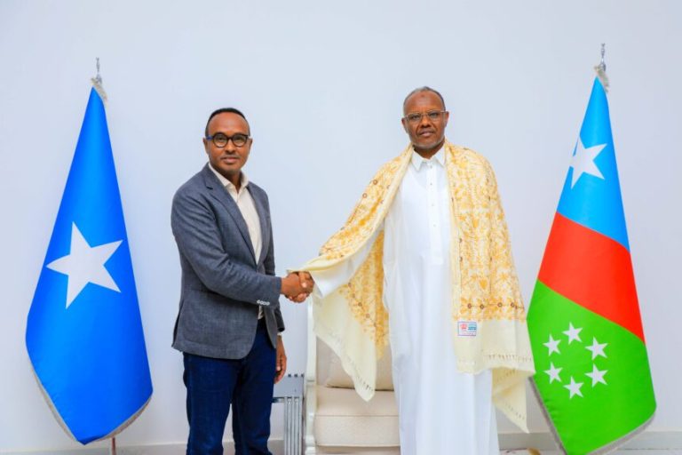 Madaxweynaha Koonfur Galbeed oo kulan la qaatay Guddoomiyaha Hay’adda SODMA