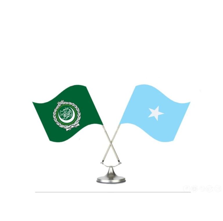 Wasiirka Arrimaha Dibadda Soomaaliya oo kala hadlay Xoghayaha Guud ee Jaamacadda Carabta caqabadaha gobolka