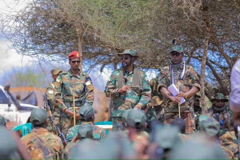 Madaxweynaha Jubaland oo bogaadin ugu tagay ciidankii dhawaan Khawaariijta ku laayey Buulo-xaaji