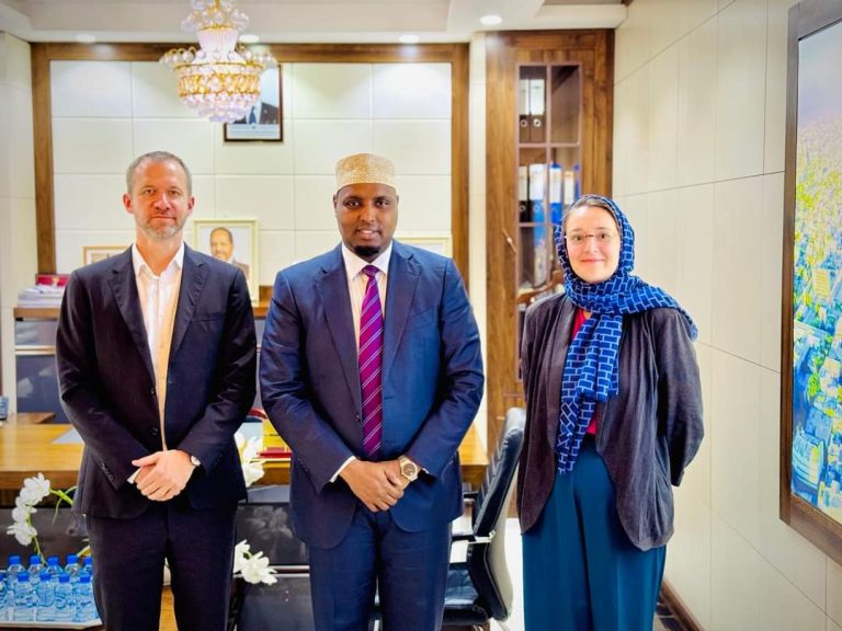 Wasiirka Qorsheynta oo la kulmay Madaxa Cusub ee Iskaashiga Jarmalka ee Soomaaliya 