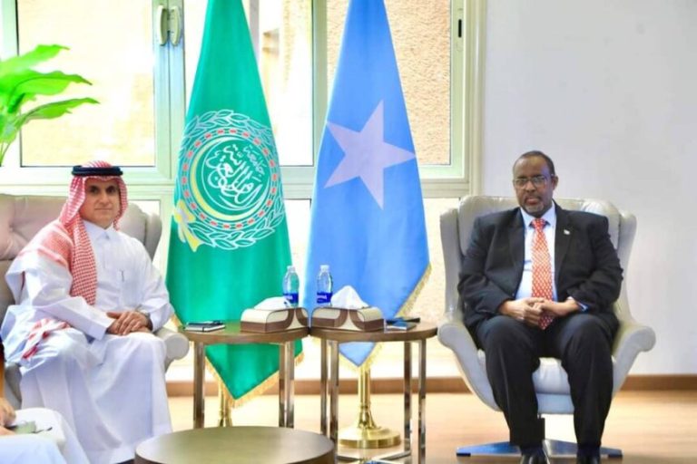 Safiirka Soomaaliya ee Masar oo kulan la yeeshay Safiirrada Turkiga iyo Sucuudiga u fadhiya dalkaas
