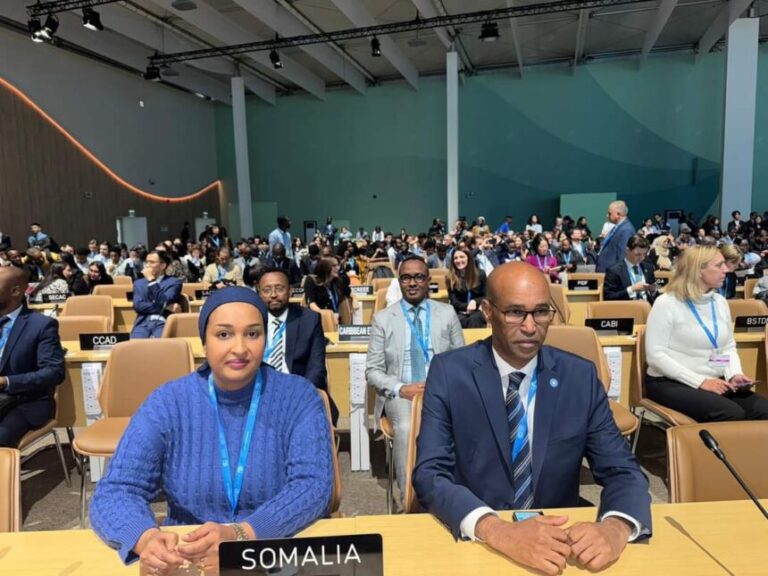 Wasiirka Wasaaradda Deegaanka iyo Isbeddelka Cimilada JFS oo ka qeybgashay furitaanka shirka #COP29.