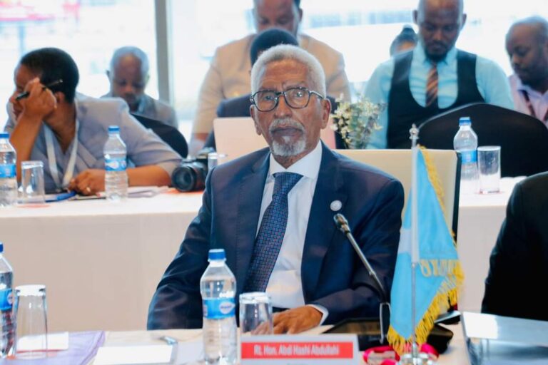 Guddoomiyaha Aqalka Sare oo ka qeybgalay shirka Baarlamaannada Bulshada Bariga Afrika 