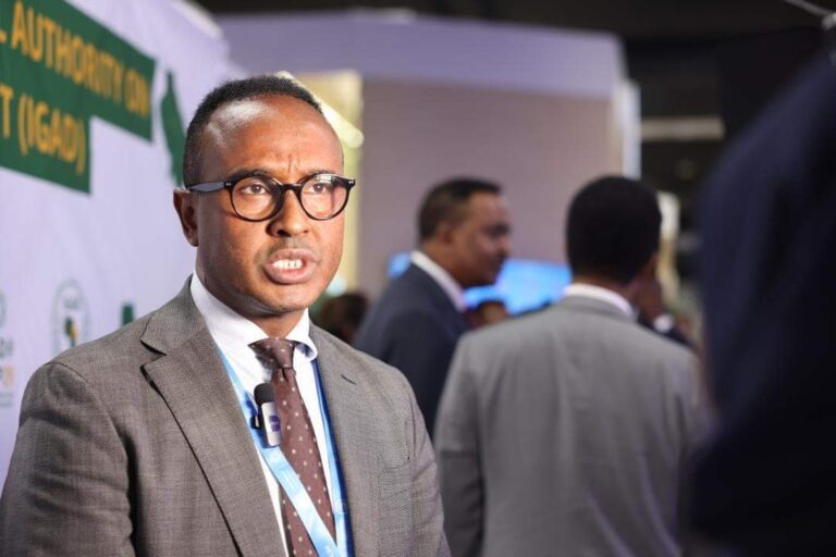 Guddoomiyaha SoDMA oo ka qeygalay shir-weynaha Caalamiga ah ee COP29