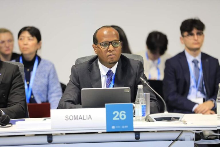 Maareeyaha Guud ee Hay’adda Isgaarsiinta Qaranka oo ka qeygalay shir-weynaha (COP29)