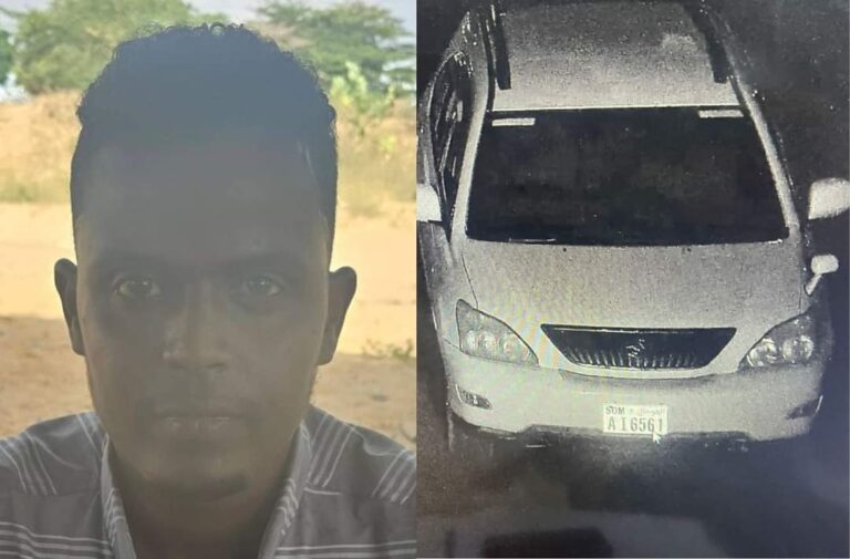 Hay’adda Sirdoonka Qaranka oo gacanta kusoo dhigtay dhagar-qabe ka tirsan khawaarijta 