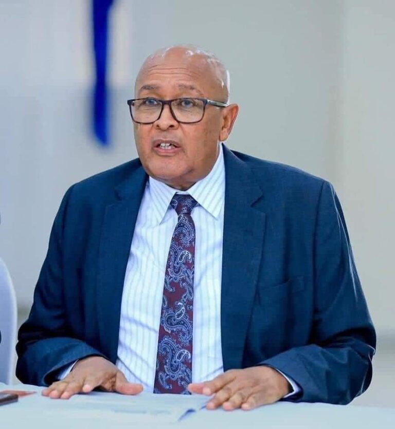 Ra’iisul Wasaare Xamse oo u hambalyeeyay Madaxweynaha cusub ee Somaliland 