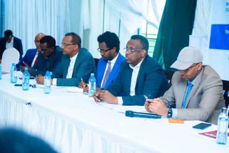 Latashiyada soo-Jeedinta Waxkabadelka Dastuurka oo la gaarsiiyay Soomaalida kunool Qurbaha