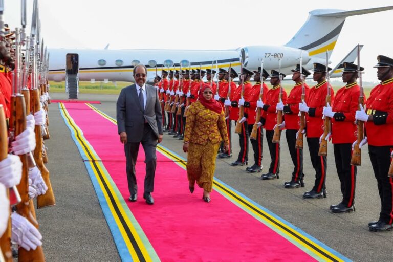 Madaxweyne Xasan Sheekh oo ka qeybgalaya shirweynahan Tamarta Afrika 