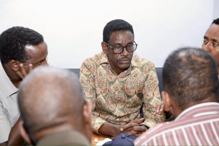 Wasiir Fartaag oo kormeer ku maray waddooyinka Muqdisho 