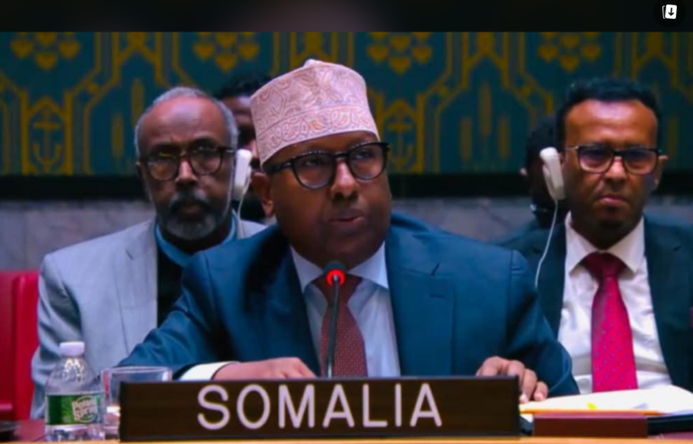 Wasiir Fiqi oo Khudbad ka jeediyay kulanka Golaha Ammaanka ee Qaramada Midoobay