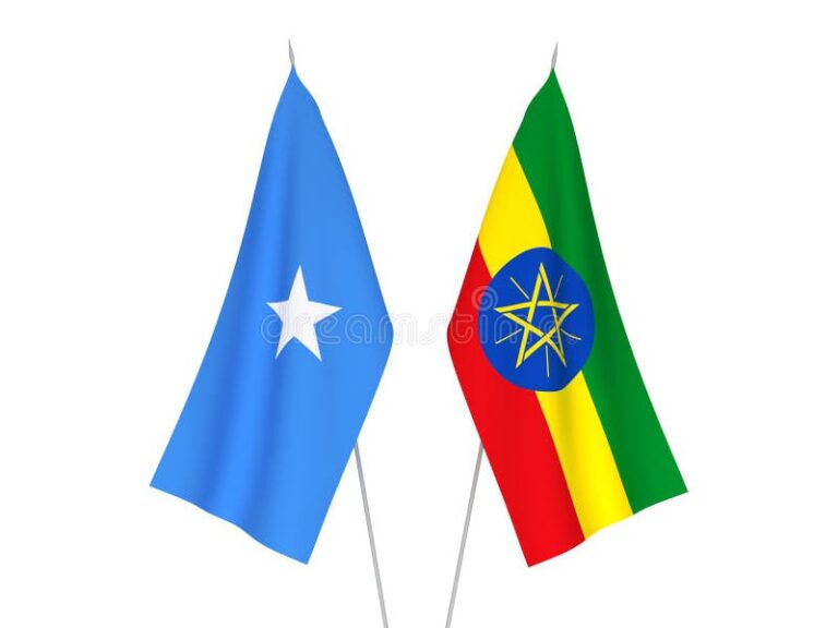 Somalia and Ethiopia’s Joint Commitment to Regional Cooperation