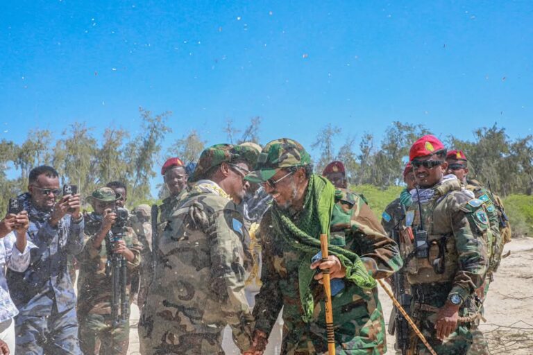 Madaxweyne Xasan Sheekh oo gaaray degmada Cadale  