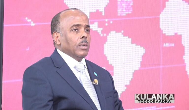 Wasiir Cali Balcad “Dowladda FS waxa ay gacan ka geysanaysaa xaaladda amni ee Suudaan”
