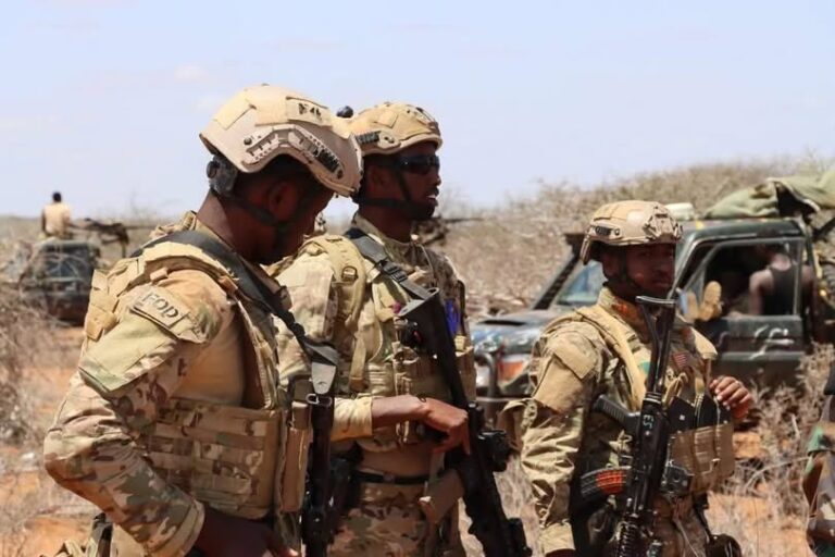 Ciidanka Qaranka oo hawlgal ku beegsadeen horjoogayaal ka tirsan Khawaarijta 