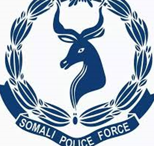 Ciidanka Booliiska oo soo xiray Cabdiraxmaan Suleyman oo ku kacay falal liddi Ku ah Amniga qaranka