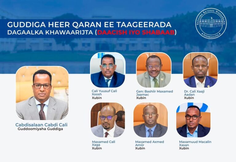 Ra’iisul Wasaare Xamsa oo Guddiga Qaran u Magacaabay Taakuleynta Dagaalka Khawaarijta
