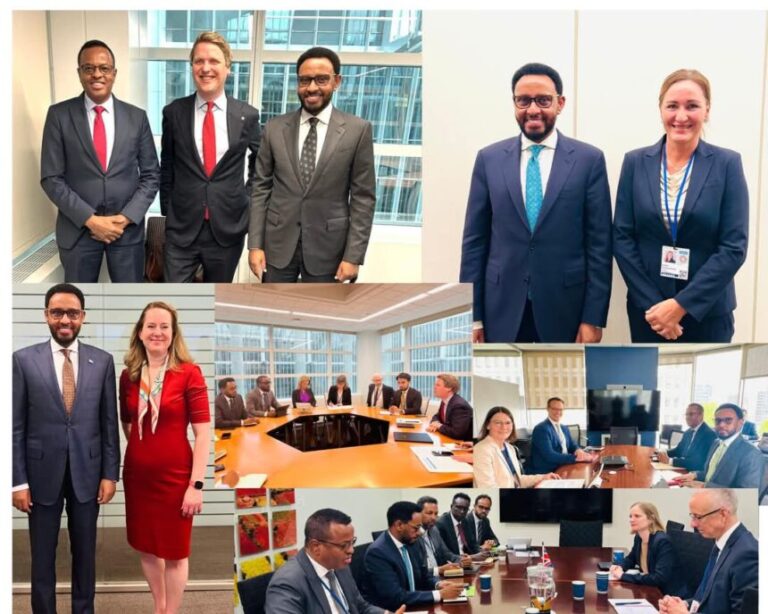 Wasiirka Maaliyadda XFS oo washington kulamo muhiim ah kula qaatay madaxda iyo ururada Caalamiga ah ee ka shaqeeya dhaqaalaha