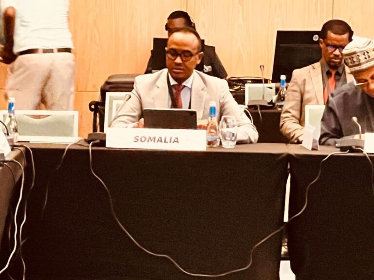 Guddoomiyaha SoDMA oo ka qeybgalay Shirweynaha 15aad ee ARC oo ka dhacay Kigali