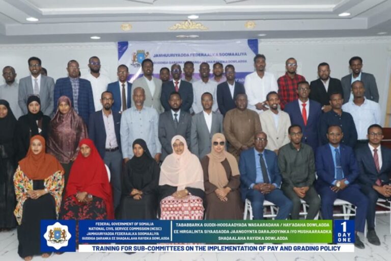 Tababbarka Guddi-hoosaadyada Dowladda ee Hirgelinta Siyaasadda Darajooyinka iyo Mushaaraadka Shaqaalaha Rayidka