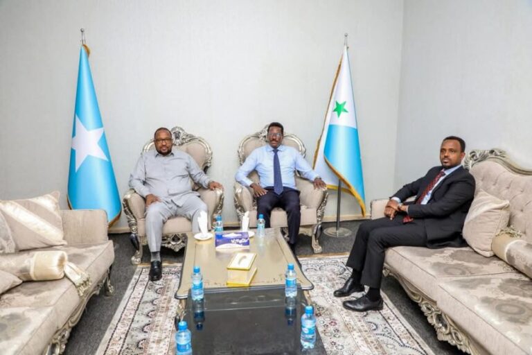 Hoggaamiyaha SSC-Khaatumo oo booqasho ugu tagay Madaxweynaha  Galmudug