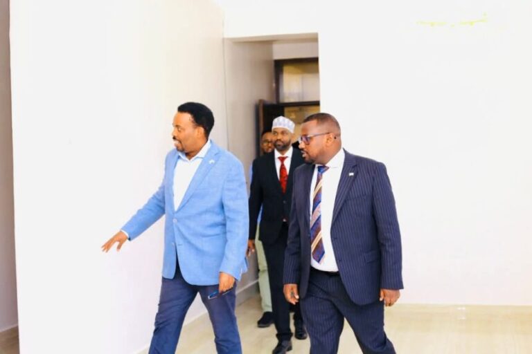 Guddoomiye kuxigeenka Labaad ee Golaha Shacabka oo booqday Xarunta Safaaradda JFS ee dalka Tanzania