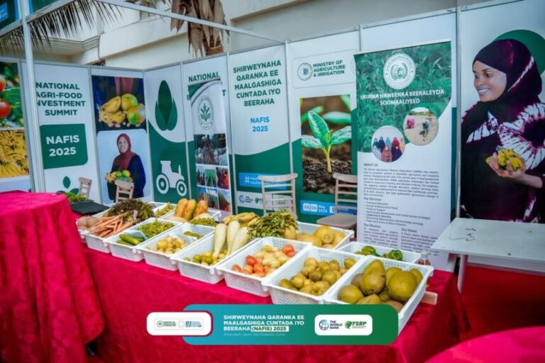 Shirwaynaha Qaran ee Maalgashiga Cuntada iyo Beeraha oo ka furmay Muqdisho